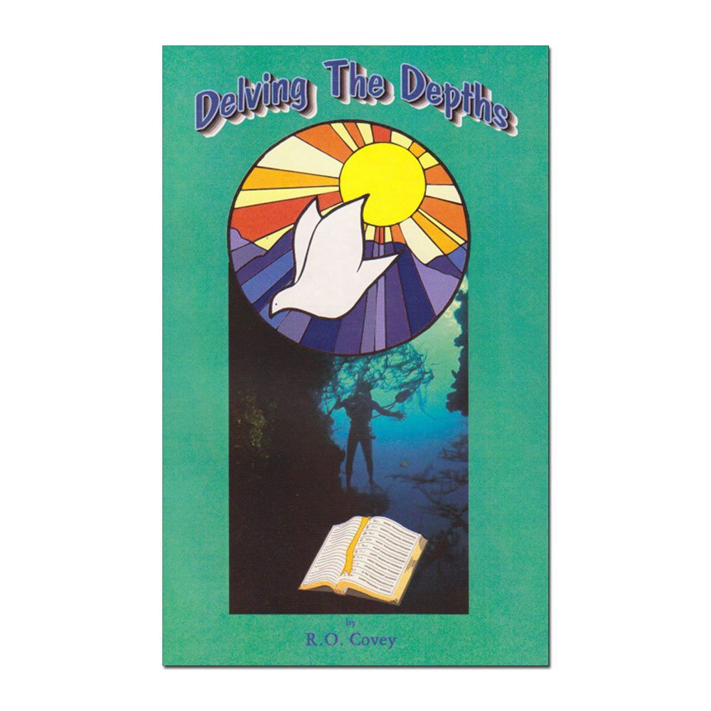 Delving Book Christian Living & Sermon Series – One Fold Bookstore